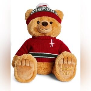 NWT Harrods Christmas Bear 2023, named Ethan
